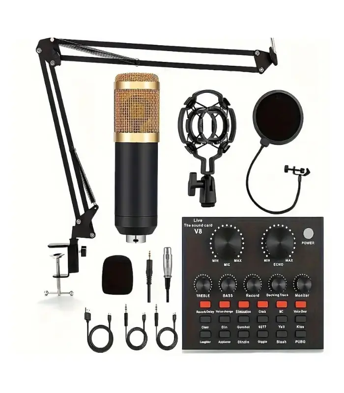 Microfono Bm800 Condensador Brazo Soporte Pc Estudio Antipop